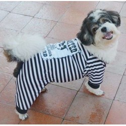 Pyjama chien