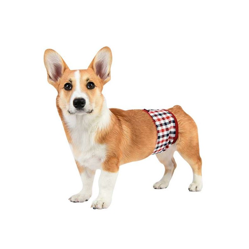 Bandeau anti-pipi à carreaux pour chien mâle