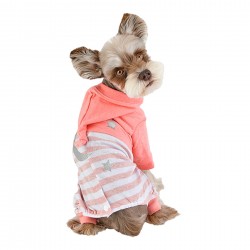 pyjama chien