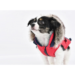 Doudoune imperméable Orson rouge avec harnais pour chien
