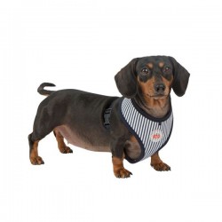 Harnais Bobby navy pour chien