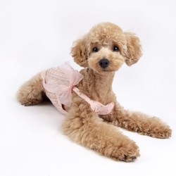 Top Pinka Sherie dentelle rose poudré et gros noeud pour chien