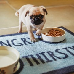Tapis "Hungry Thirsty" pour...