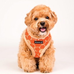 Harnais fourré Florent orange pour chien
