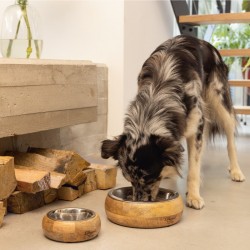 Gamelle luxe en bois pour chien