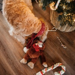 Jouet Paresseux de Noël en peluche pour chien