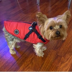 manteau pour chien avec harnais intégré