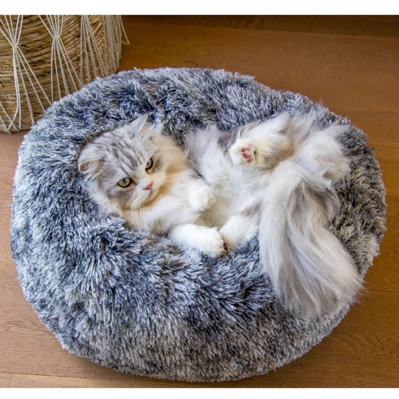 coussin apaisant chat