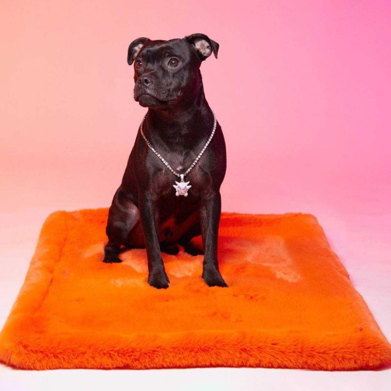 tapis luxe pour chien